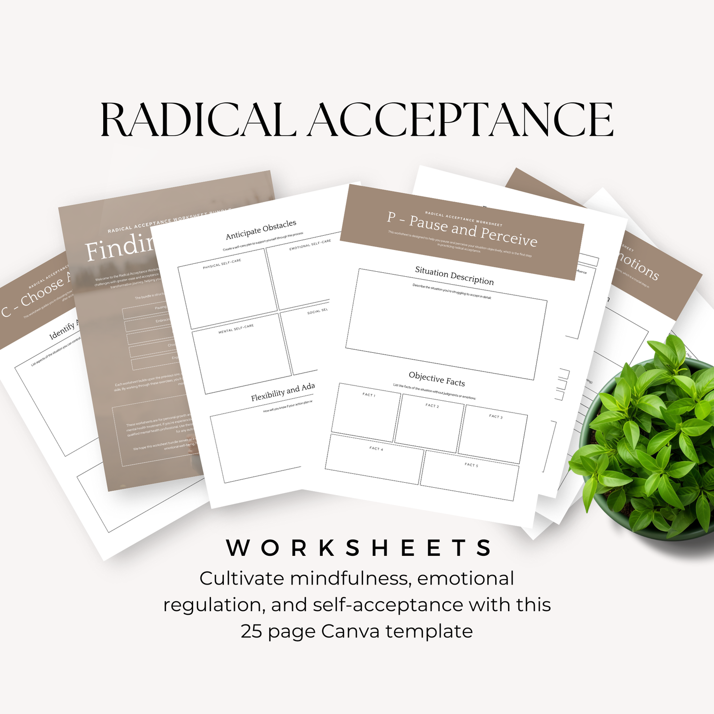 Radical Acceptance Worksheets Canva Template