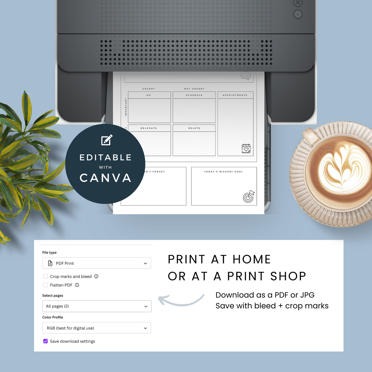 Solopreneur Business Plan Template