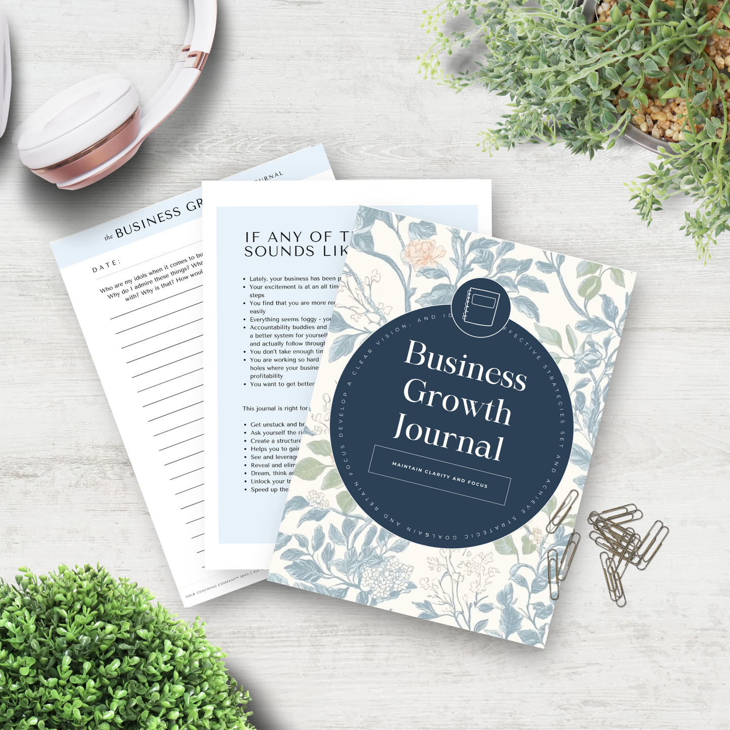 Business Growth Journal Canva Template