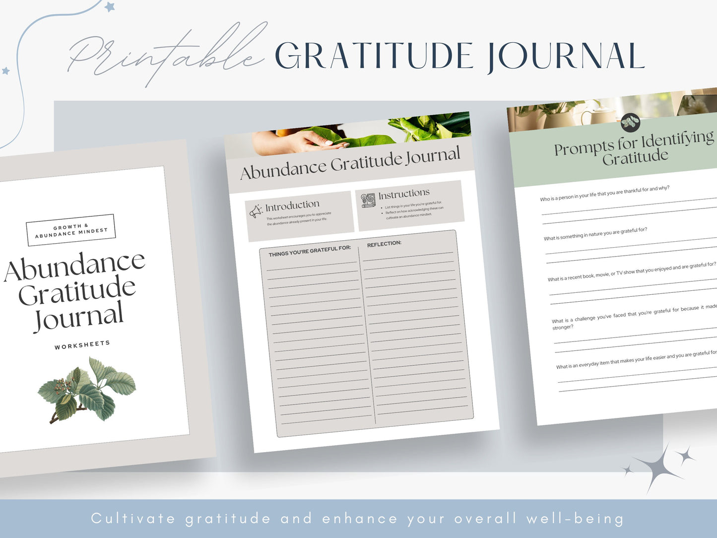 Abundance Gratitude Journal for Leaders